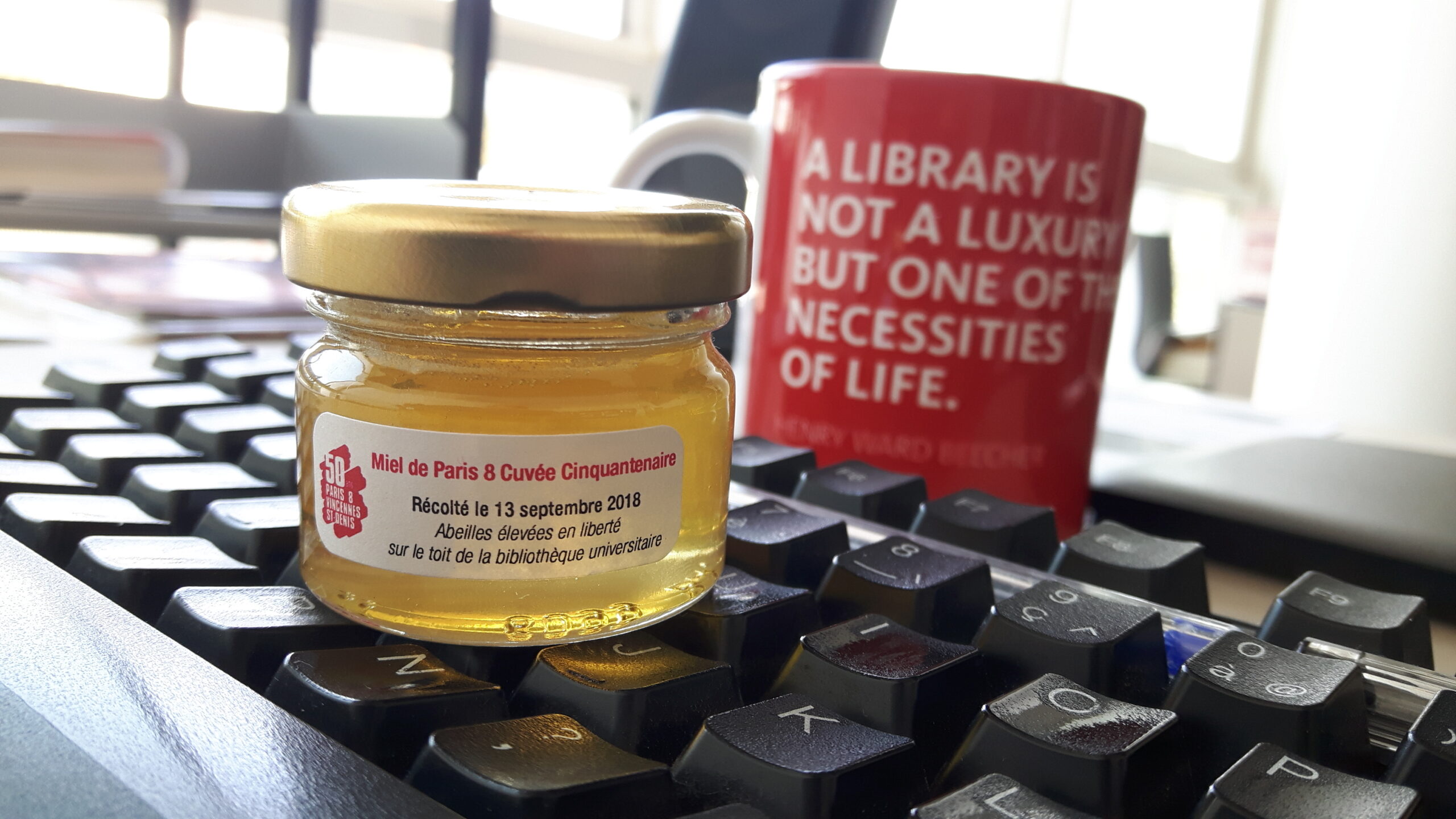 Du miel et des abeilles… à la bibliothèque